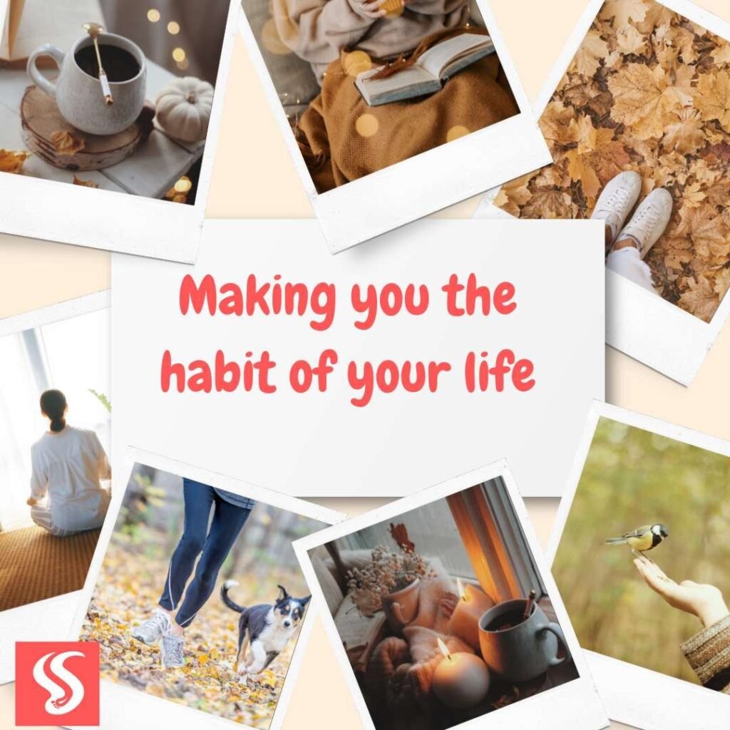 A collage of good wellbeing habits, including mindfulness over coffee, journaling, walking, running with your dog, watching birds, and meditation.